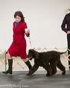 20140429-sw-0061