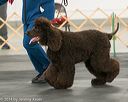 20140429-sw-0083