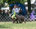 20140607-0369