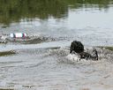 20140816-awd-0006
