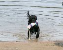 20140816-awd-0009