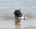 20140816-awd-0015