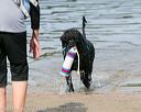 20140816-awd-0032