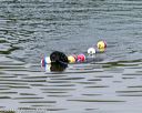 20140816-awd-0052
