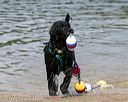 20140816-awd-0065