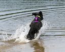 20140816-awd-0071