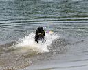 20140816-awd-0077