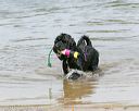 20140816-awd-0078