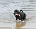20140816-awd-0079