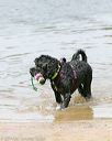 20140816-awd-0083