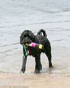 20140816-awd-0085
