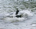 20140816-awd-0130