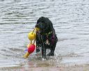 20140816-awd-0138