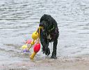 20140816-awd-0141