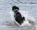 20140816-awd-0156
