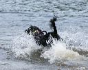 20140816-awd-0159