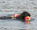 20140816-awd-0173