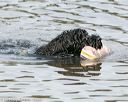20140816-awd-0192