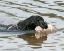 20140816-awd-0196