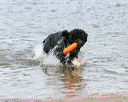 20140816-awd-0247
