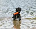 20140816-awd-0269