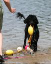20140816-awd-0306