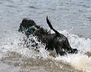 20140816-awd-0312