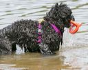 20140816-awd-0328