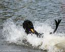 20140816-awd-0381