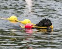 20140816-awd-0385