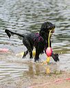 20140816-awd-0394