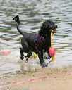 20140816-awd-0396