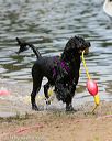 20140816-awd-0397