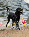 20140816-awd-0398