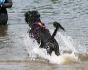 20140816-awd-0407