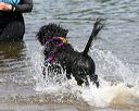 20140816-awd-0408