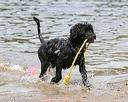 20140816-awd-0438