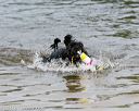 20140816-awd-0447