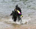20140816-awd-0452