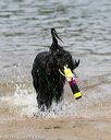 20140816-awd-0454