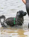20140816-awd-0456