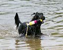 20140816-awd-0462