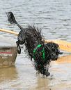 20140816-awd-0477