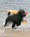 20140816-awd-0479