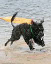 20140816-awd-0480