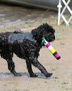 20140816-awd-0492