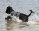 20140816-awd-0494
