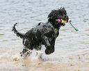 20140816-awd-0504