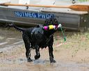 20140816-awd-0526