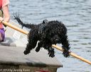20140816-awd-0537